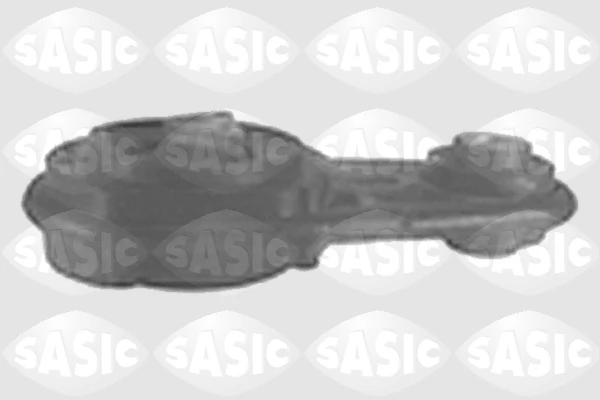 4001717 Sasic