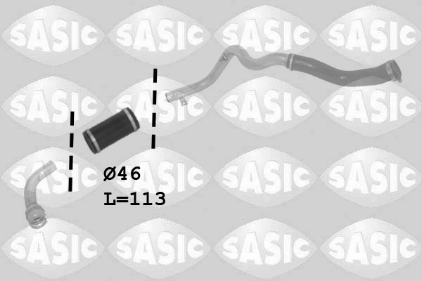 3334062 Sasic