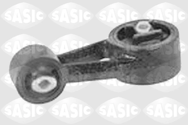 8061691 Sasic