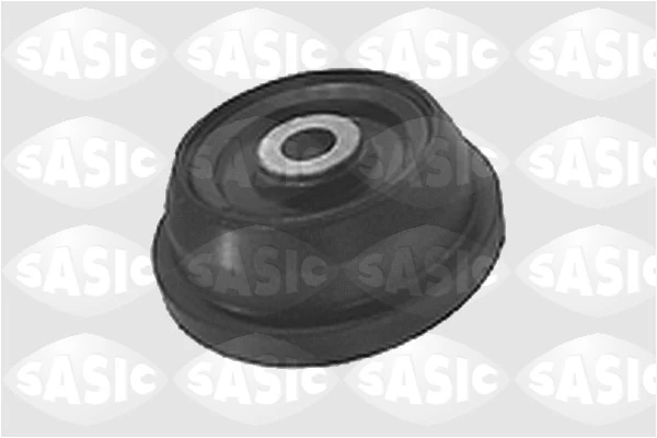 1615235 Sasic
