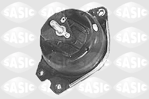 4001832 Sasic