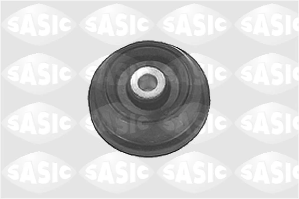 1615205 Sasic