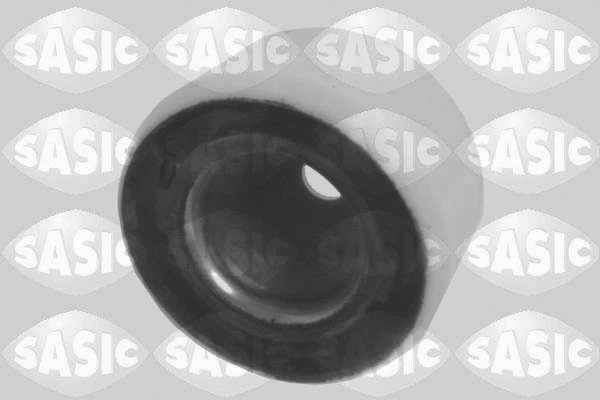 2954003 Sasic