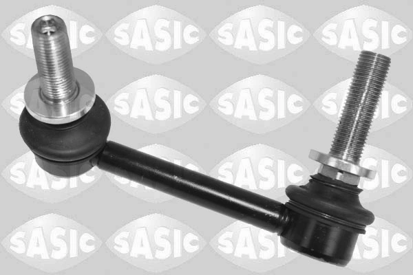 2300138 Sasic