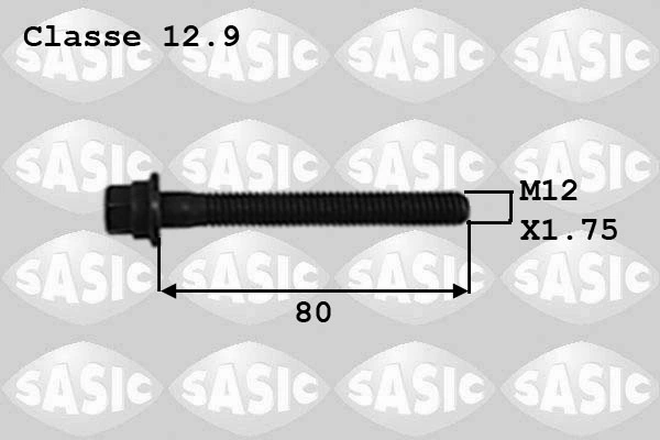8700012 Sasic