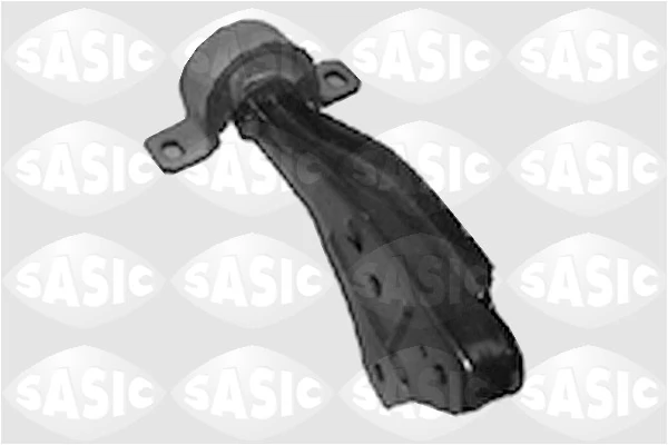 4001389 Sasic