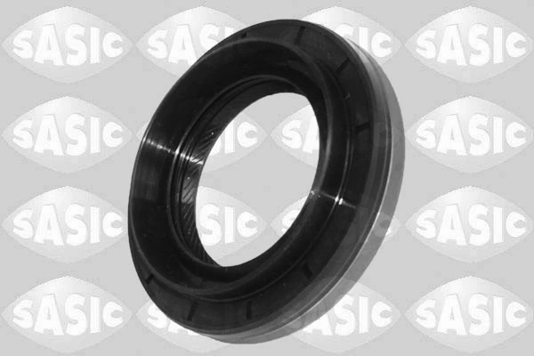 1954012 Sasic