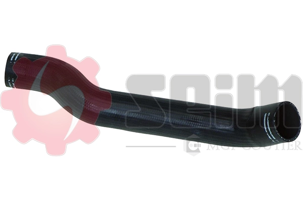 981003 Seim