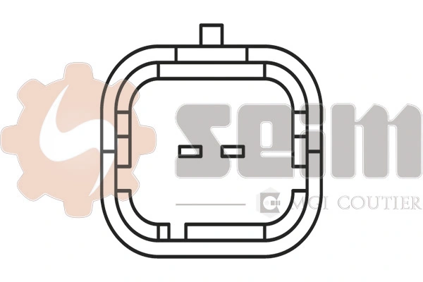 Sensor de picado Citroen C4 Cactus