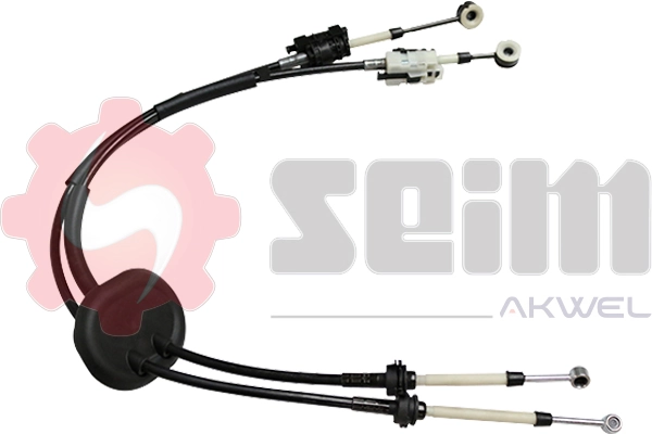 556299 Seim