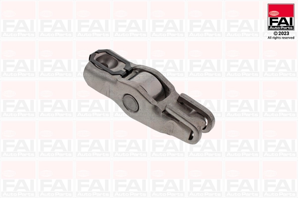 R174S FAI