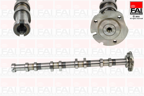 C341 FAI