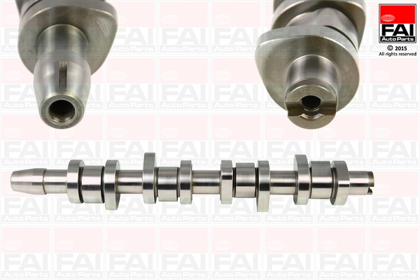 C248 FAI