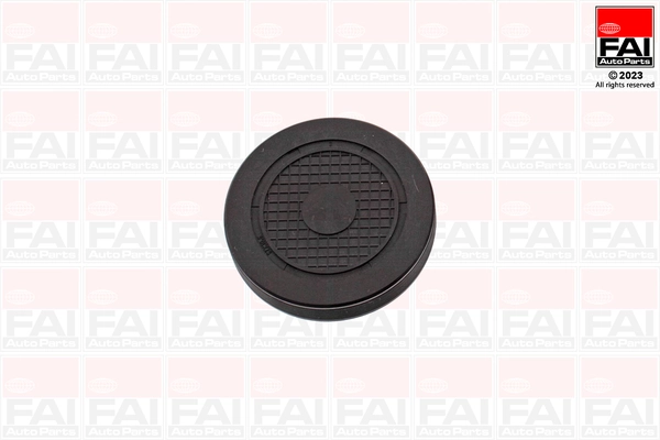 Tapón de culata Renault Espace IV monovolumen (JK0) (2002 - 2026) precio, desde 8,87 USD