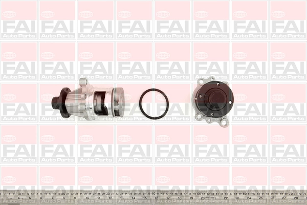 WP3067 FAI