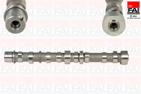 C254 FAI