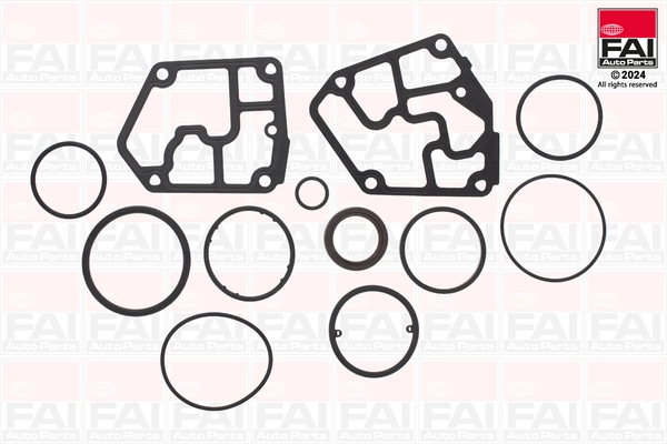 CS1011 FAI