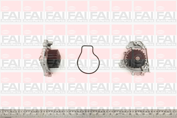 WP6193 FAI