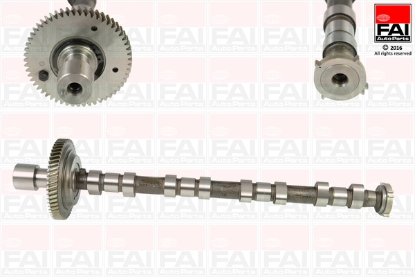 C310 FAI