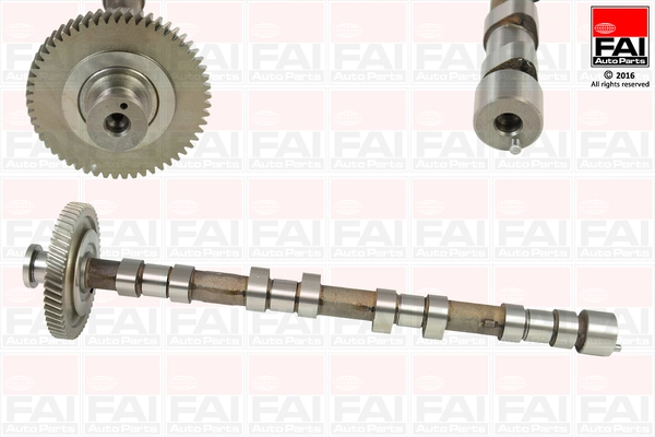 C311 FAI