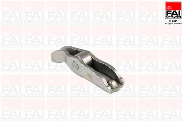 R219S FAI