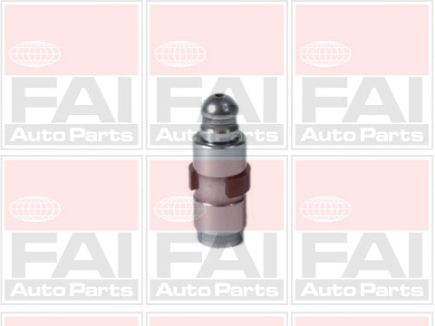 BFS148 FAI