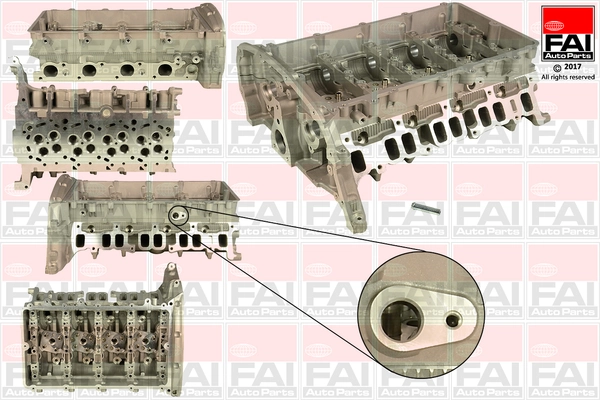 BCH019 FAI