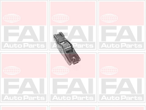R172S FAI