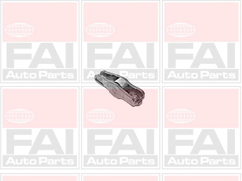 R175S FAI