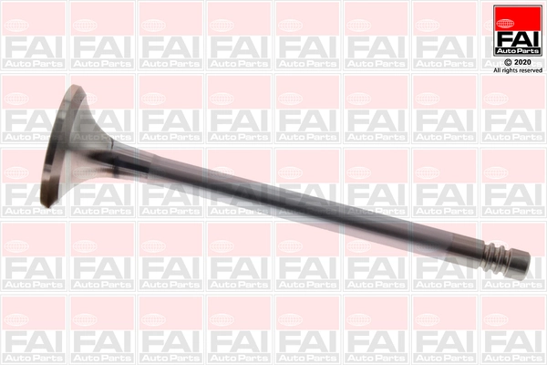EV95207 FAI