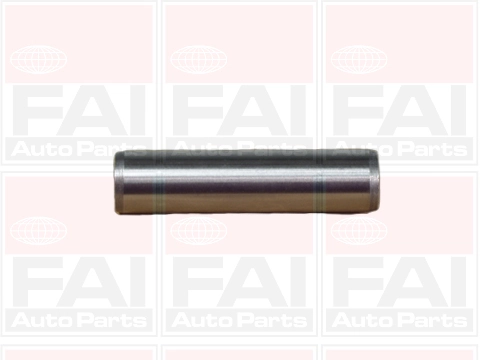 BFG0220 FAI