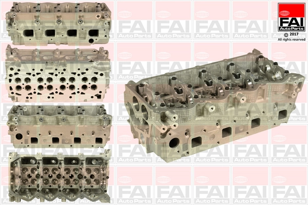 BCH006 FAI