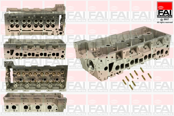 BCH039 FAI