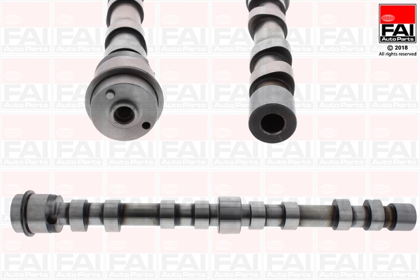 C391 FAI