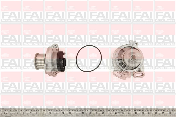 WP2925 FAI