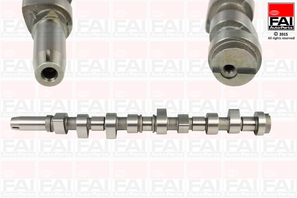 Comprar Árbol de levas Ford Focus I DFW a bajo precio