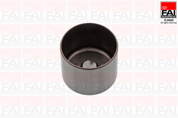 BFS183S FAI