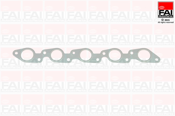 EM495 FAI