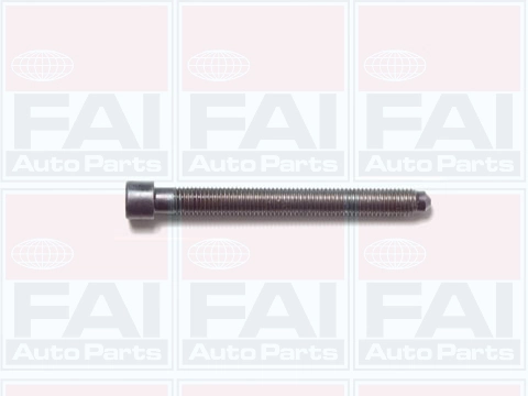 B1006 FAI