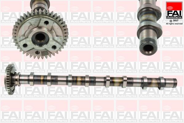 C381 FAI