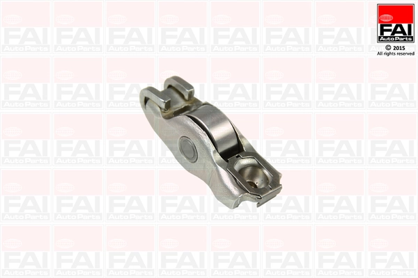 R207S FAI