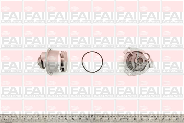 WP6167 FAI