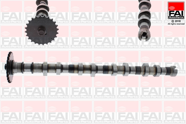 C387 FAI