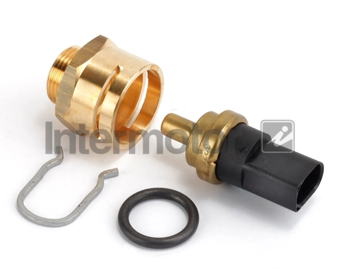 Sensor de temperatura del motor Seat Exeo  (3R5)