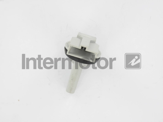 55907 Intermotor