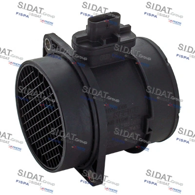 381036 Sidat