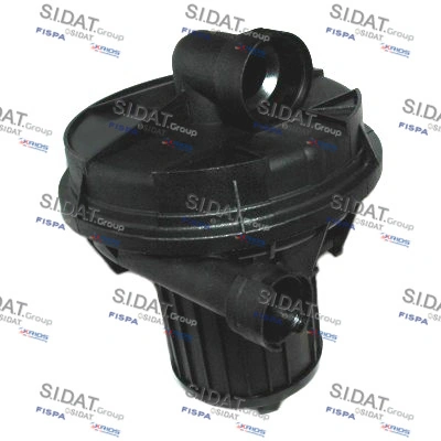 81312 Sidat