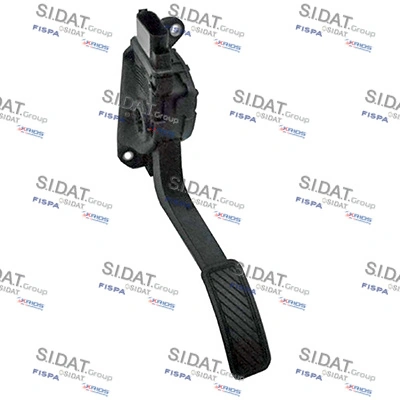 842143 Sidat