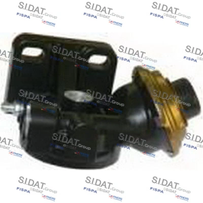 81020 Sidat