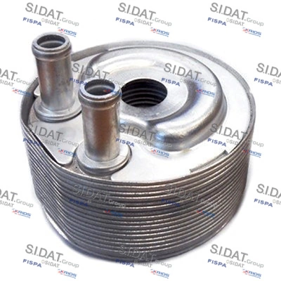 590018 Sidat